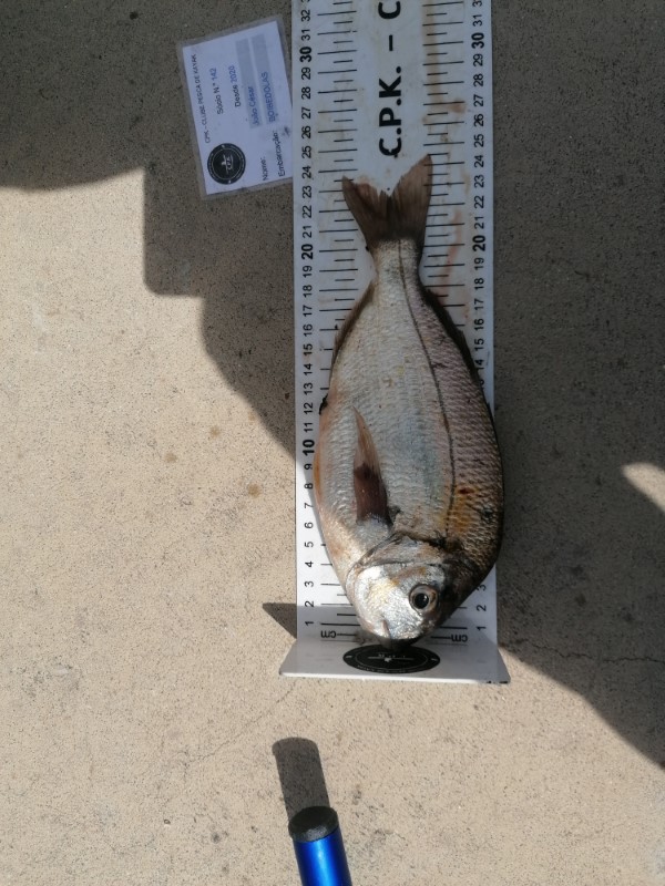 Fish Measure Picture